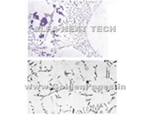 > </div>
<div class=